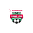 1. Liga logo