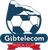 Premier Division logo
