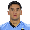 N. Garrido
