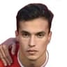 Ferran Zarzoso