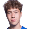 J. Driessen