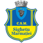 Sighetu Marmaţiei badge