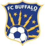 Buffalo badge