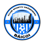 Baicoi badge