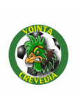 Voința Crevedia badge