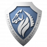 Merani Tbilisi badge