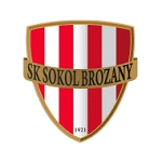 Sokol Brozany badge