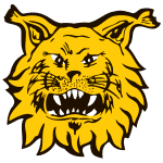 Ilves II badge