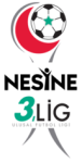 3. Lig - Group 1 logo