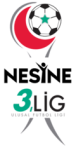 3. Lig - Group 3 logo