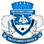 Braila badge