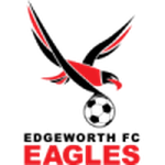 Edgeworth Eagles badge