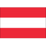 Austria U19 badge