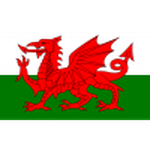 Wales U19 badge