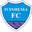 Ivinhema badge