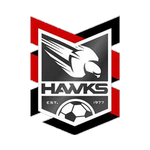 Holland Park Hawks badge