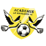 Flambeau du Centre badge