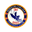 Berekum Chelsea badge