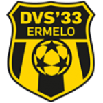 DVS 33 Ermelo badge
