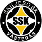 Skiljebo badge