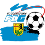 Gossau badge