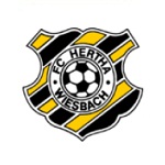 Hertha Wiesbach badge