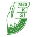 Pelikan Łowicz badge