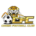 Cooma Tigers badge