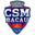 CSM Bacău badge