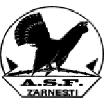 Olimpic Zărneşti badge