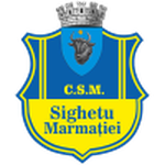 Sighetu Marmaţiei badge