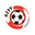 HZVV badge