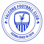 Falcons badge
