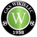 Wikielec badge