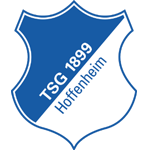 Hoffenheim badge