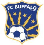 Buffalo badge