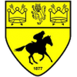 Newmarket badge