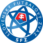 Botafogo FR badge