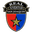 Real San Joaquín badge