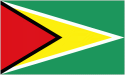 Guyana W U17 badge
