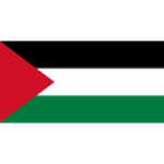 Palestine U20 badge