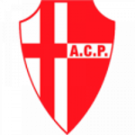 Padova U19 badge