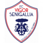 Vigor Senigallia badge