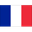 France badge