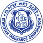 Ethiopian Medhin badge