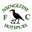 Nsingizini Hotspurs badge