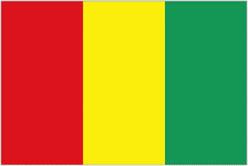 Guinea U23 badge