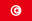 Tunisia U23 badge