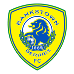Canterbury Bankstown badge