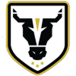 Bulls Academy badge
